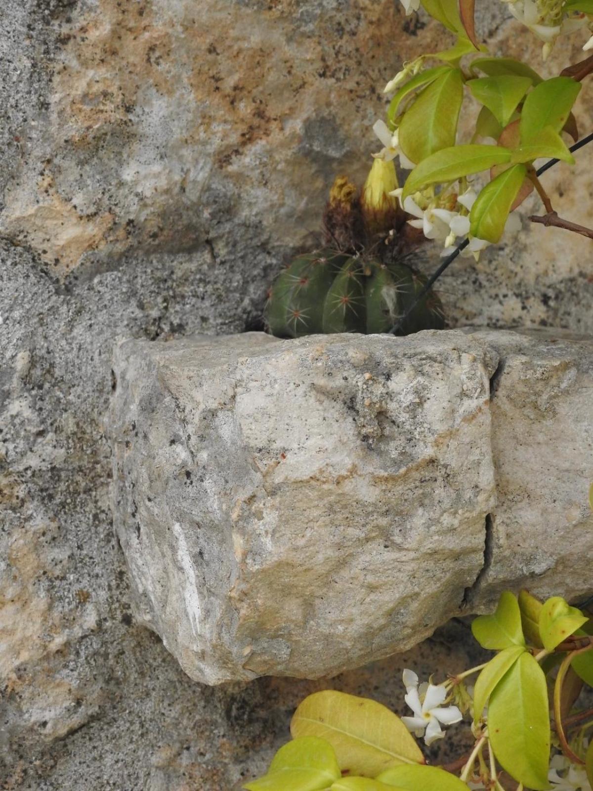 Villa Trulli Del Sole à Martina Franca Extérieur photo
